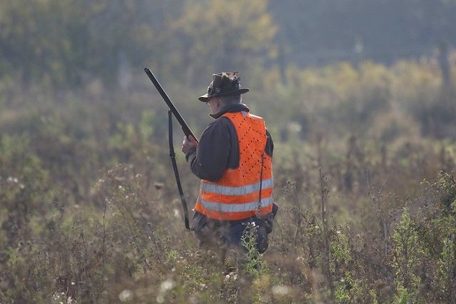 Уголовное дело об «огнестрелах» в лагере «Дружба» забирает СКР