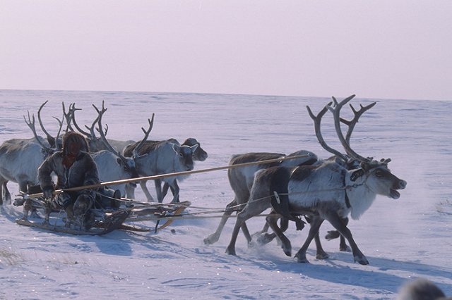 В Югре абориген убил двухмесячного сына, которого не смог запеленать