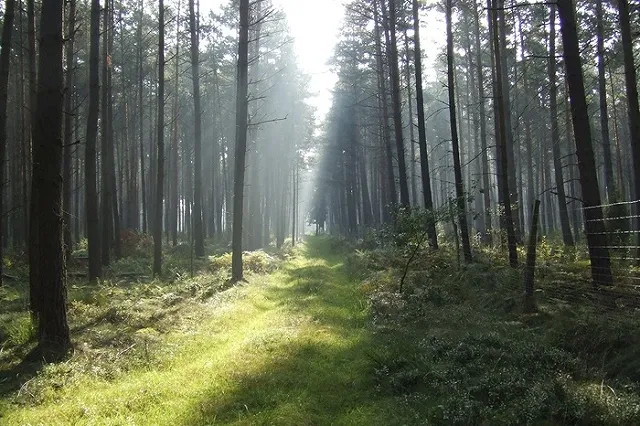 Рекордная вспышка на Солнце принесет на Землю мощнейшую магнитную бурю