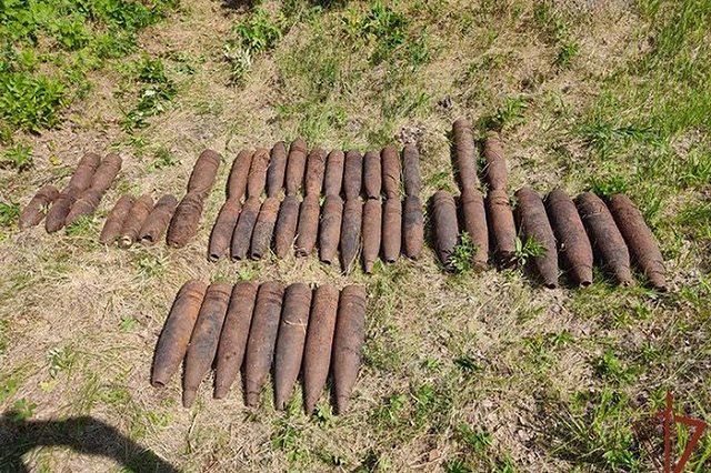 В Свердловской области на участке жилого дома многодетной семьи обнаружили боеприпас