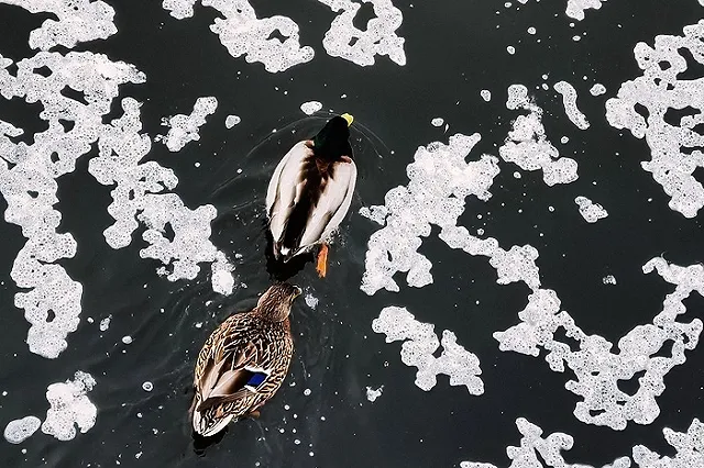 Гидрометцентр России опубликовал для Среднего Урала прогноз на март