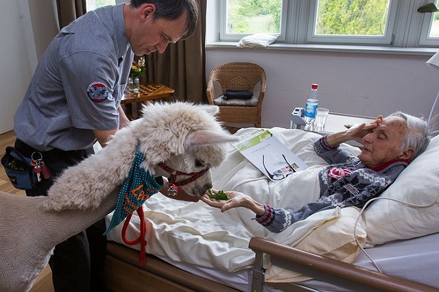 В Екатеринбурге открывается первый стационарный хоспис