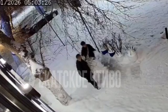 В Екатеринбурге неизвестные украли новогоднюю ёлку у ресторана