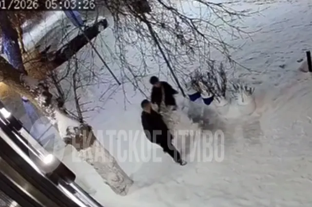 В Екатеринбурге неизвестные украли новогоднюю ёлку у ресторана