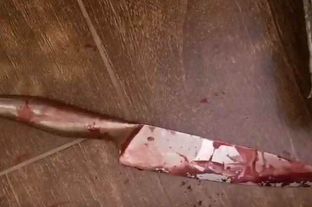 Убийство жены экс-вратаря СКА: За нож взялся младший сын хоккеиста