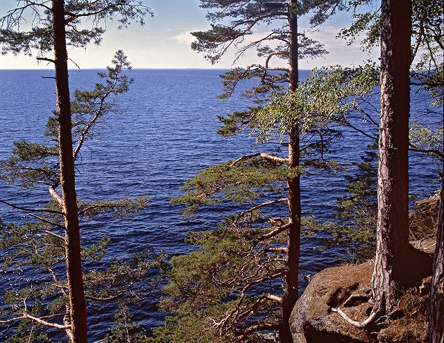 Флору и фауну Шарташского лесопарка изучит УРО РАН