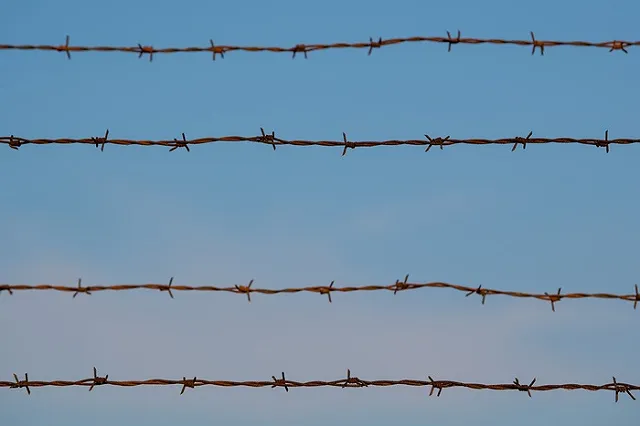 Суд удовлетворил иск нижнетагильской колонии для силовиков к правозащитникам