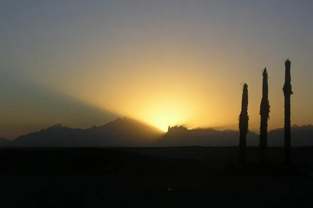 Президенты РФ и Египта 23 октября в Сочи обсудят восстановление авиасообщения