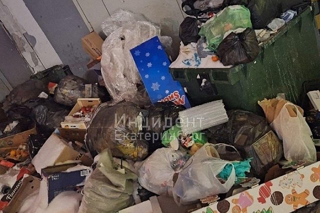 Жители Екатеринбурга сообщили о неубранных с прошлого года помойках