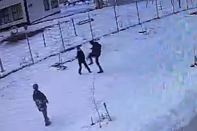 В Академическом мужчина с собакой напал на школьников