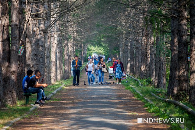 Жители Екатеринбурга пожаловались на запущенность Ботанического сада