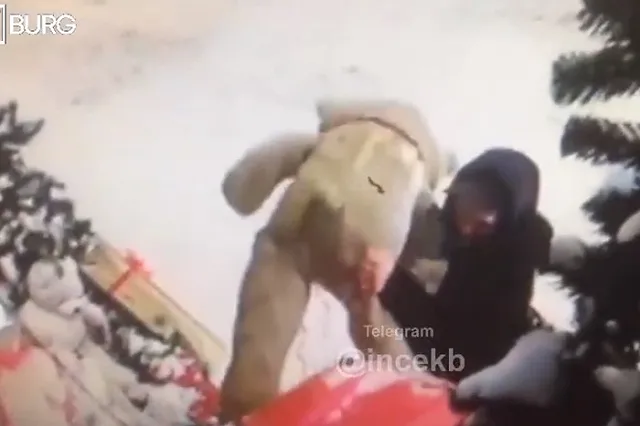 В Екатеринбурге вор ради плюшевой игрушки разрушил новогоднюю дизайн-композицию