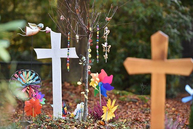 Смерть брата или сестры сокращает продолжительность жизни человека