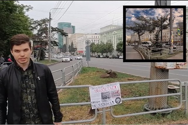 В Челябинске из-за спиленной столетней лиственницы уволили двух чиновников