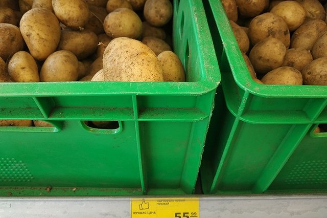 Против «Пятерочки» и «Магнита» завели антимонопольное дело по признаку сговора