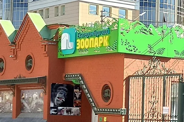 Новые обитатели появились в зоопарке Екатеринбурга. Только посмотрите, какие они милые!