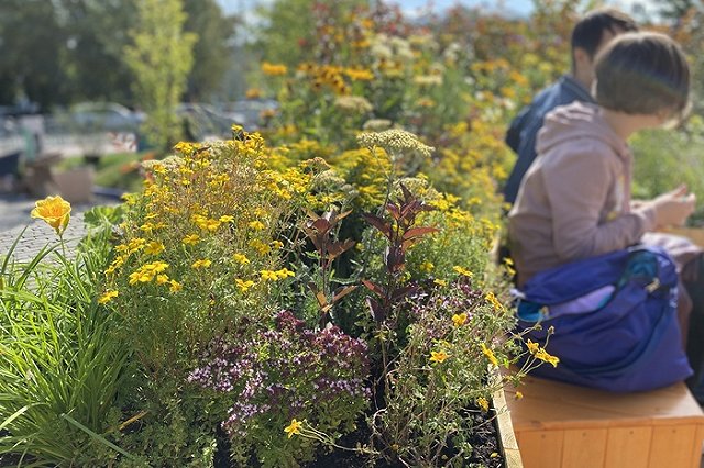 Организаторы «Атмофеста» приглашают горожан на субботник