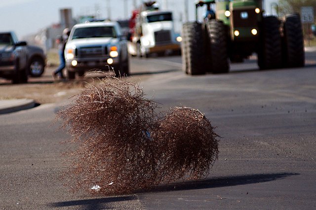 Власти Калифорнии ограничили потребление воды на 25%