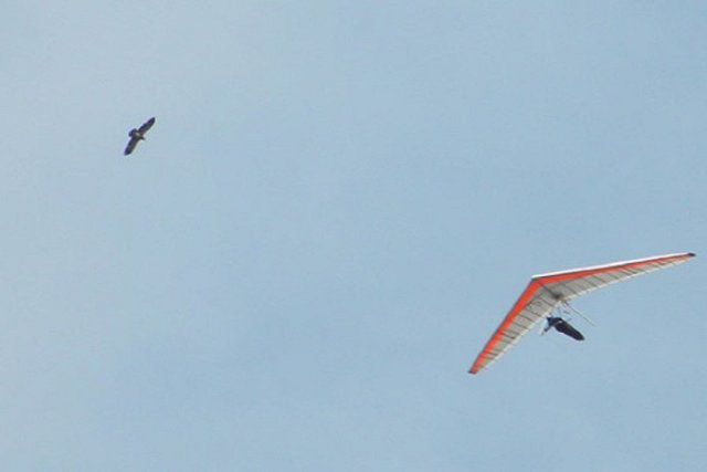 Пилот мотодельтаплана насмерть разбился в Челябинской области