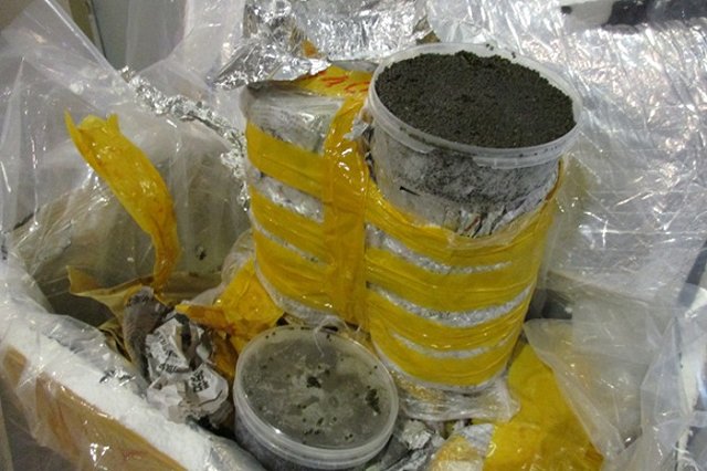 Сотрудники Шереметьевской таможни изъяли у китайца партию черной икры