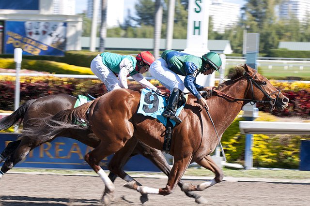 В Италии выброшенного из седла жокея лягнула лошадь и переехала скорая