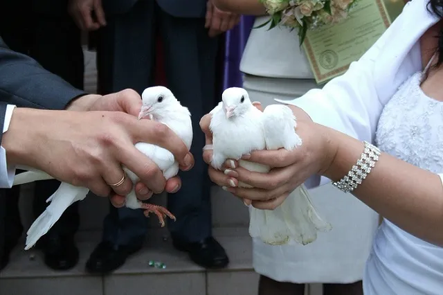 Депутаты предложили обязать молодоженов заключать брачный контракт