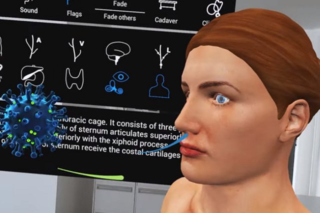 Выработанные при COVID-19 антитела остаются эффективными семь месяцев