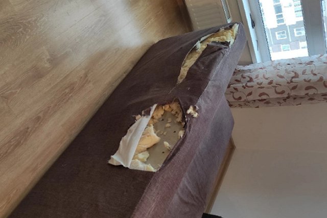 В Екатеринбурге семья разнесла съемную квартиру и сбежала