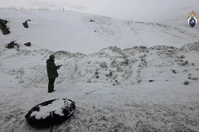 В смерти мальчиков, задохнувшихся в Шале под сошедшим снегом, обвинили мать одного из погибших детей