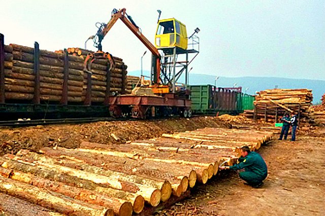 Пресечен канал контрабанды леса в Китай