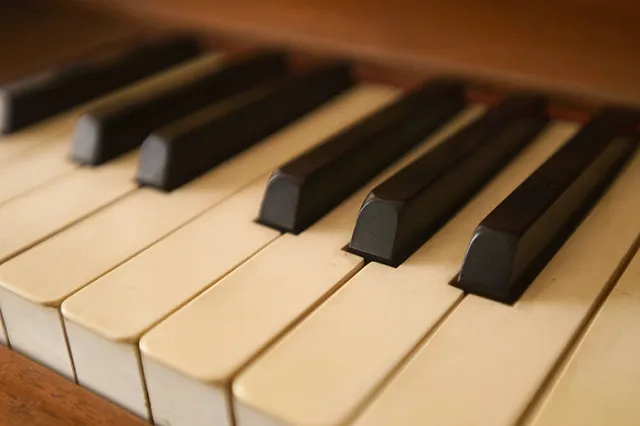 25-часовой фортепьянный марафон открылся «бредом Пантыкина»