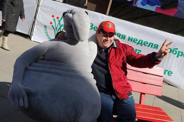 Определен срок жизни мемов