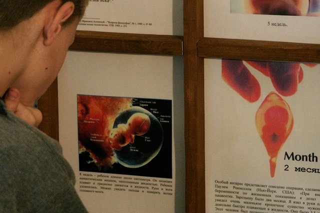 В Бразилии прошли митинги против полного запрета абортов