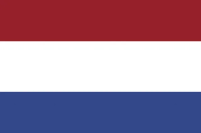 Нидерланды выслали четверых россиян, обвинив их в кибератаках