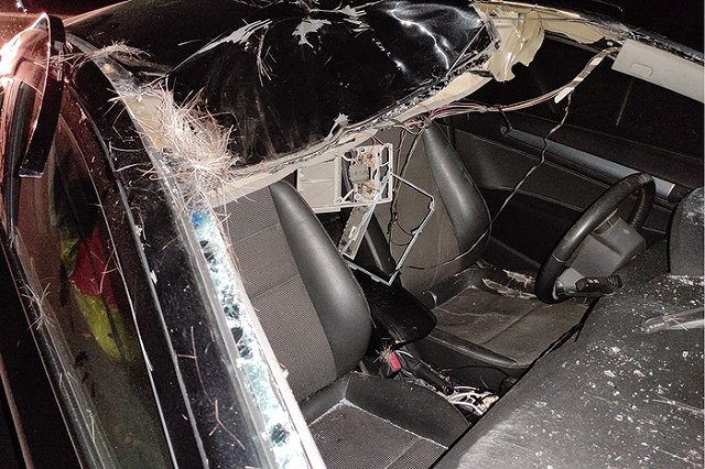 Под Екатеринбургом иномарка насмерть сбила лося