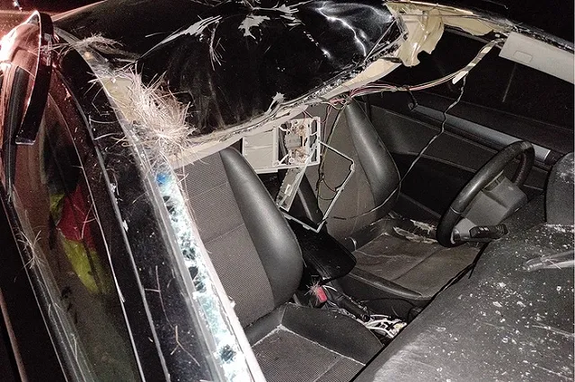 Под Екатеринбургом иномарка насмерть сбила лося