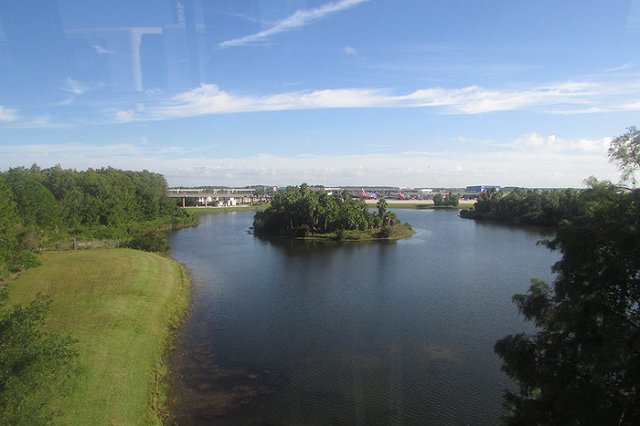 Во Флориде аллигатор съел прятавшегося в озере грабителя