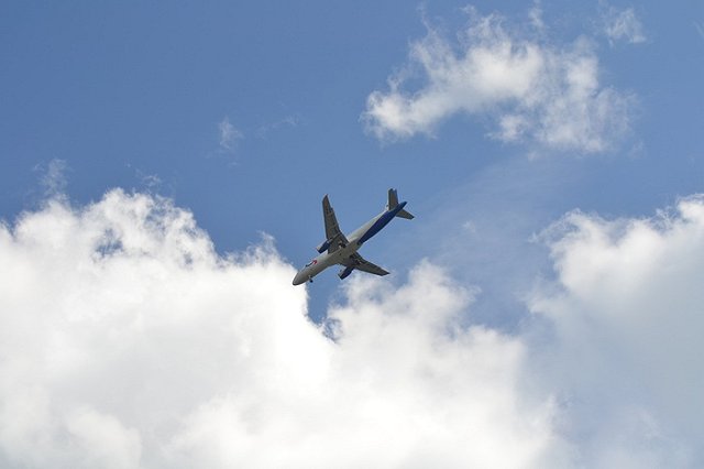 Екатеринбуржцы до поздней ночи стояли в очереди за льготными билетами в Крым