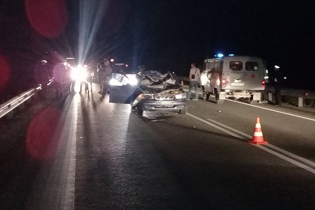 В Свердловской области автомобиль насмерть сбил лося. Водитель тоже погиб