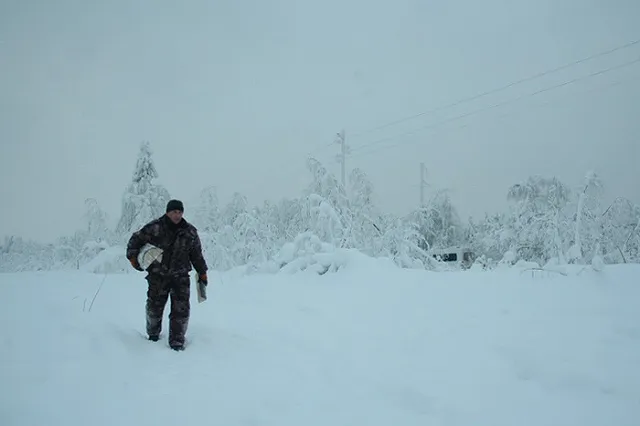 Синоптики пообещали Свердловской области резкое похолодание