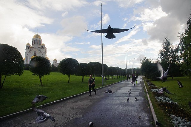 Власти решили сократить площадь Екатеринбурга