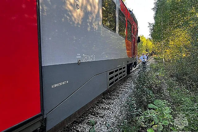 Под Екатеринбургом посреди леса сломалась электричка