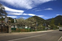 Закарпатская область Украины хочет объявить независимость