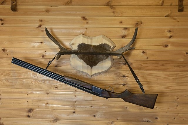 Приставы отобрали у осужденного свердловского чиновника коллекцию оружия