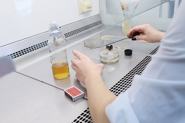 Уральские ученые создают безпохмельное пиво