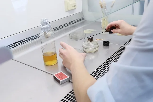 Уральские ученые создают безпохмельное пиво