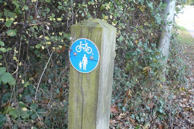 В Екатеринбурге не будут делать велодорожки на старых улицах