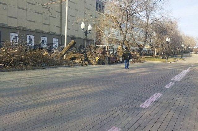 На центральной екатеринбургской аллее вырубили деревья