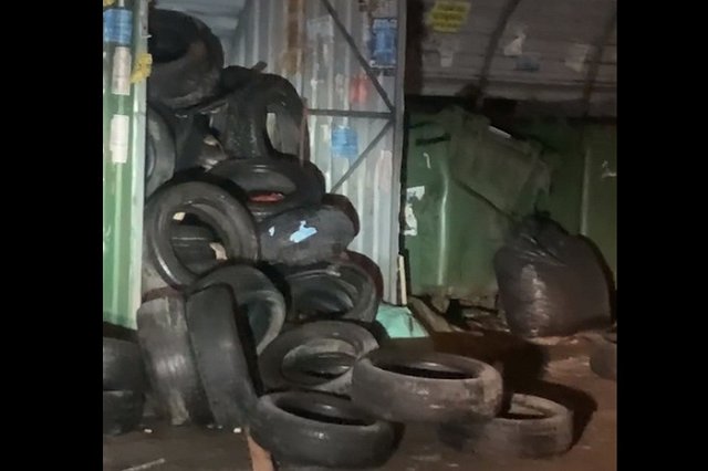 Екатеринбургские крысы устроили вечеринку в автомобильных покрышках