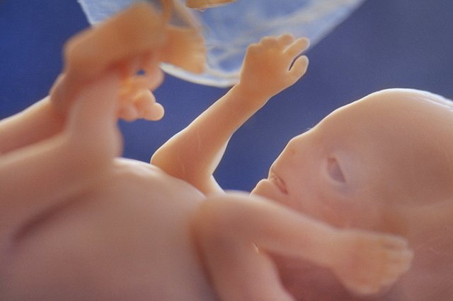 За пять лет число абортов в России снизилось на четверть